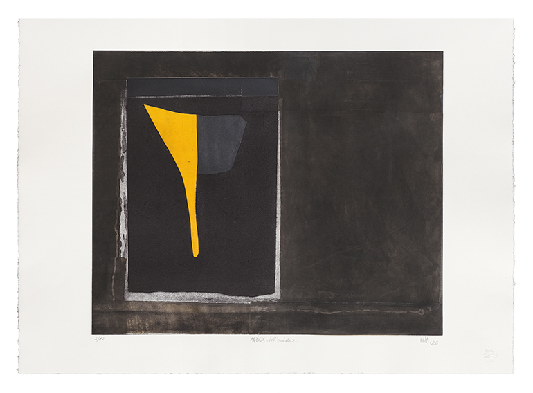 6_Valdi_Spagnulo_MATERIA DELL'OMBRA 2_2026_acquatinta_carborundum e collage_44 x 54,2 cm_foglio 55 x 76 cm copia
